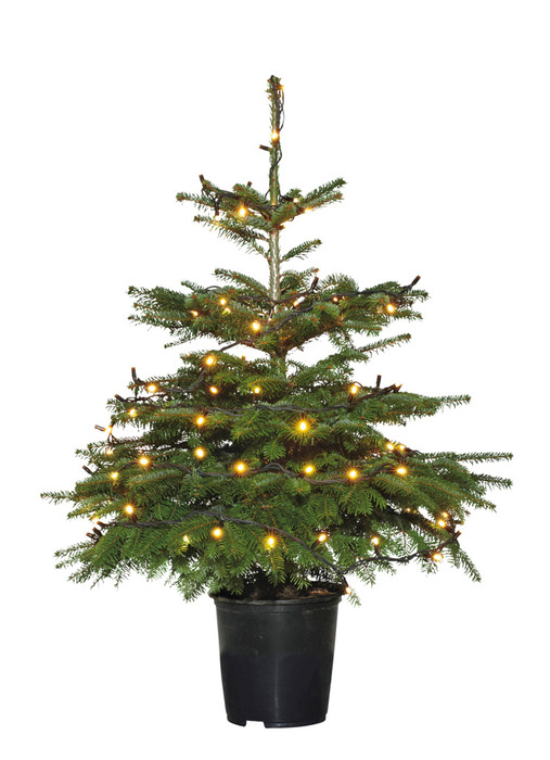 Ljusslinga PRO 300 LED Varmvit 29,9 m Stemning